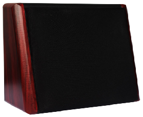 20W教室专用  音质清晰